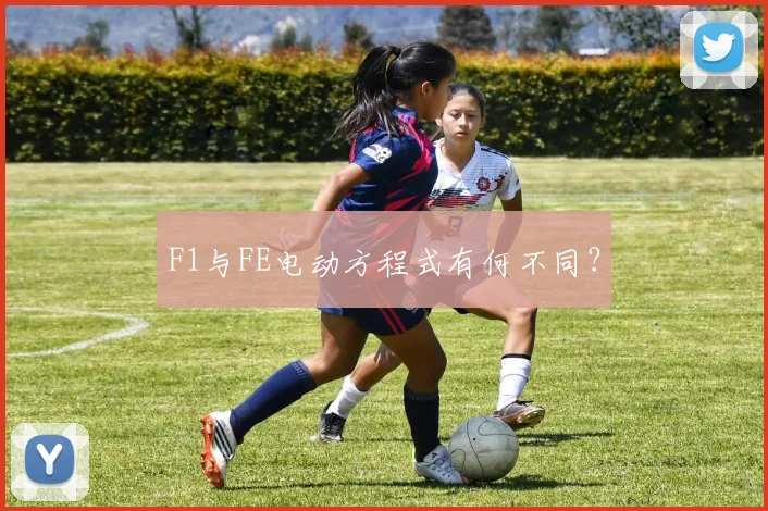 F1与FE电动方程式有何不同？