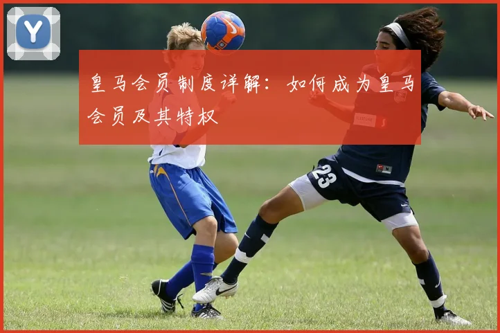 皇马会员制度详解:如何成为皇马会员及其特权